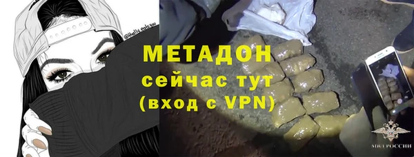 прущие грибы Осташков