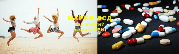 прущие грибы Осташков