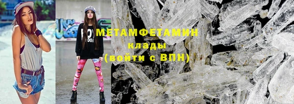 прущие грибы Осташков