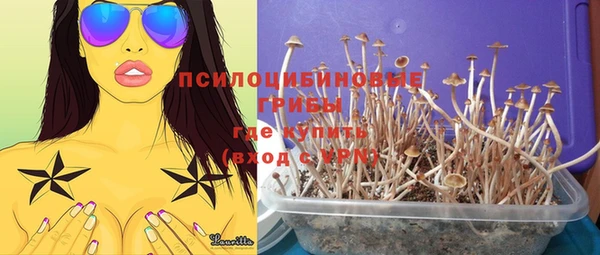 соль ск Остров