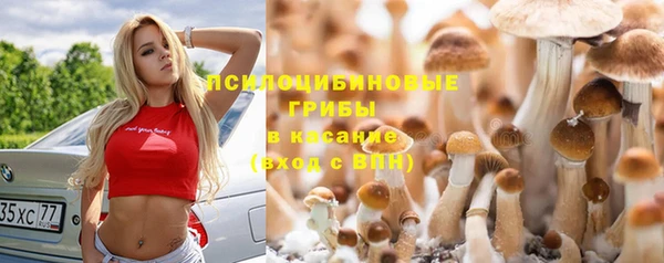 прущие крисы Осинники