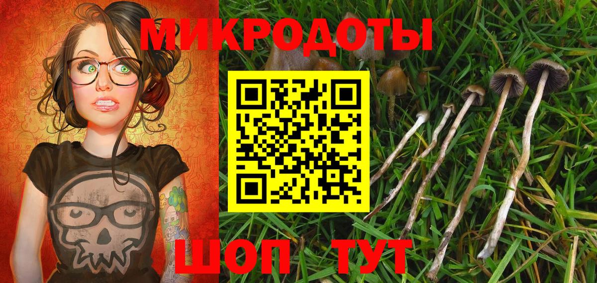Псилоцибиновые грибы Magic Shrooms  Вход с VPN  Псилоцибиновые грибы GOLDEN TEACHER  Чебоксары 